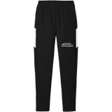 Dynasty Advisors Travel Pant