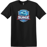 Florida Surge Softstyle T-Shirt