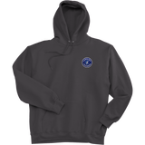 Carolina Thunder Super Heavyweight Fleece Hoodie