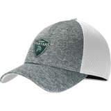 Biggby Spartans New Era Shadow Stretch Mesh Cap