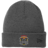 Danville Iron New Era Speckled Beanie